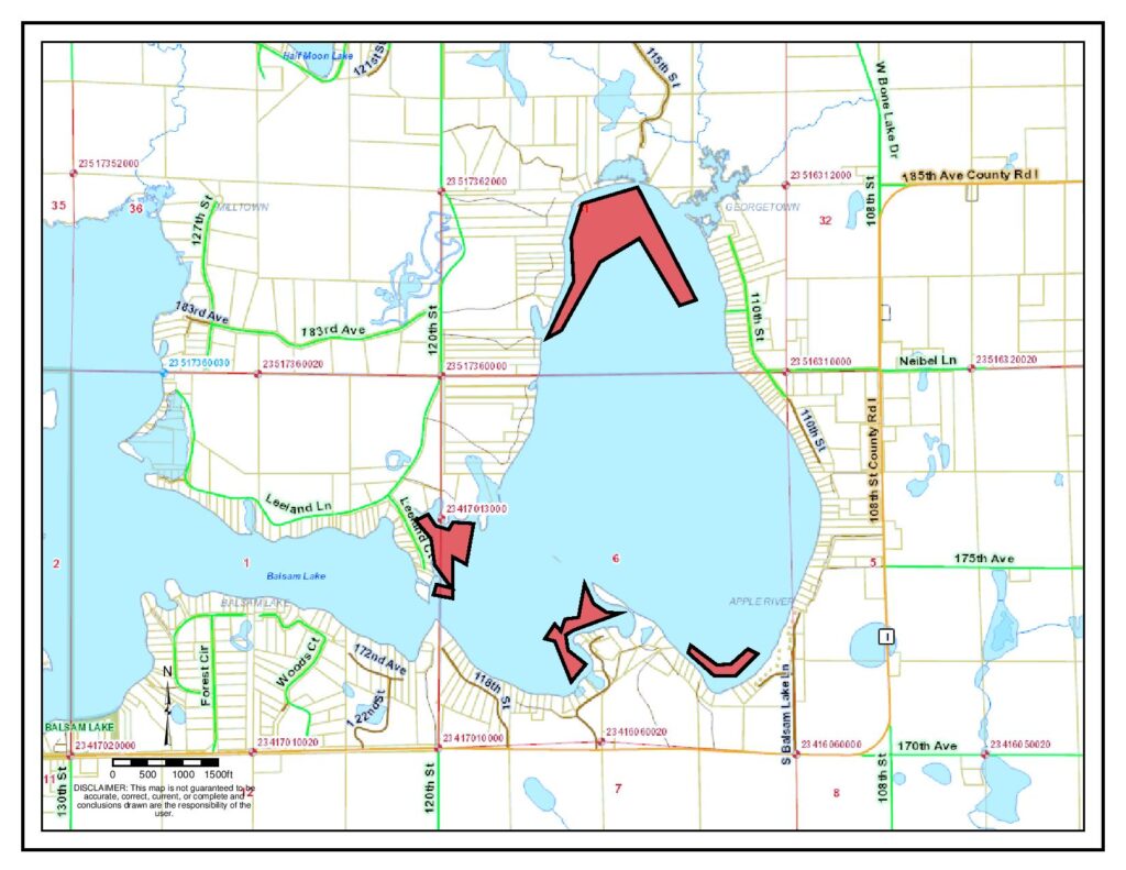 Aquatic Plant Management – Balsam Lake Protection & Rehabilitation District